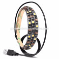 IP68 Unterwasser smd rgb 3528 führte Streifenlicht DC12V / 24V RGB imprägniern geführten Streifen